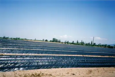 Φιλμ εδαφοκάλυψης Agrolin μαύρο